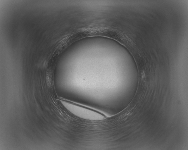 X0000054441300200507291307
