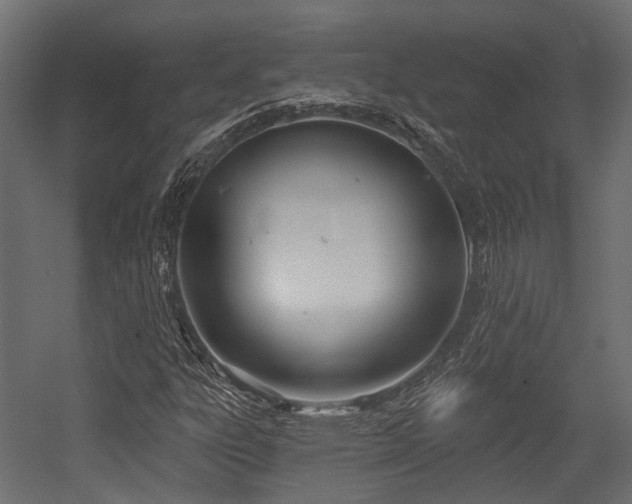 X0000054441303200507291307
