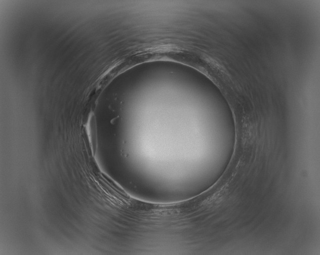 X0000054441305200507291307