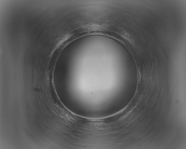X0000054441309200507291307