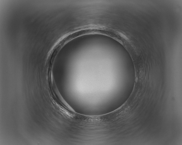X0000054441310200507291307