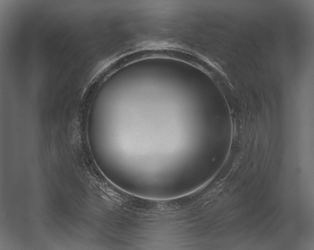 X0000054441311200507291307