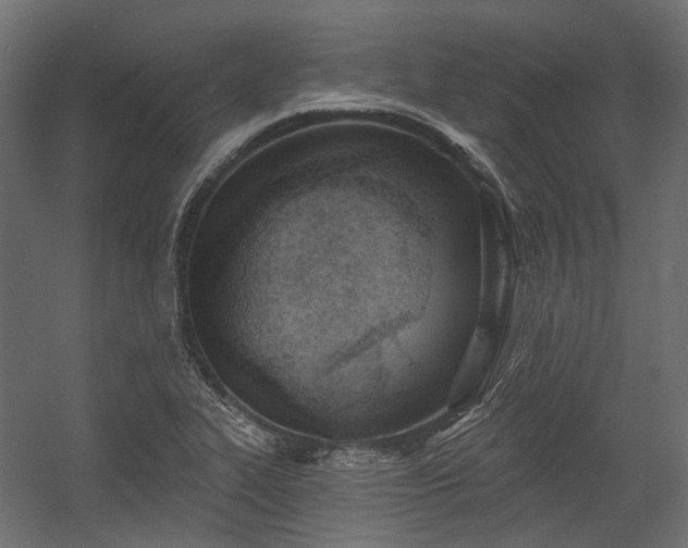 X0000054441319200507291307