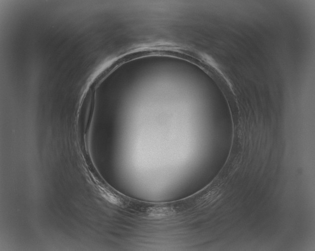 X0000054441320200507291307