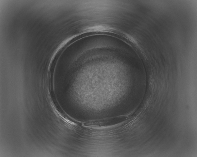 X0000054441323200507291307
