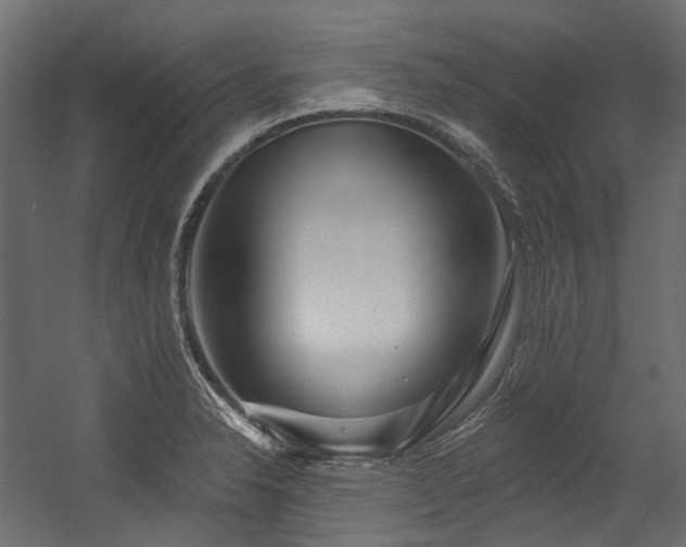 X0000054441326200507291307