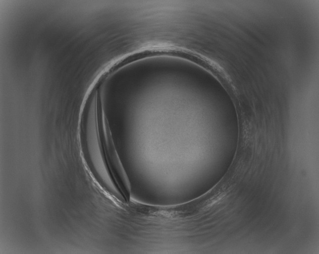 X0000054441327200507291307