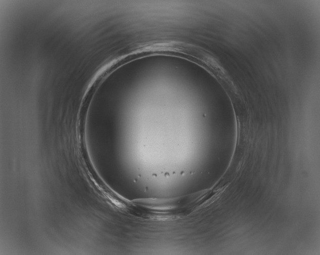 X0000054441328200507291307