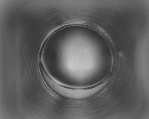 X0000054441332200507291307