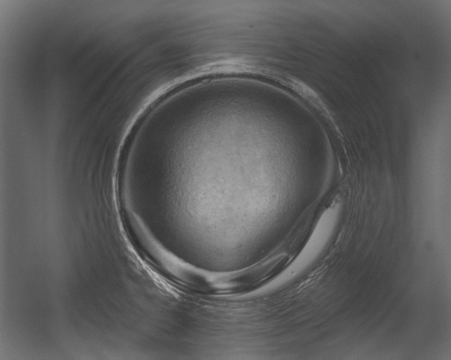 X0000054441334200507291308