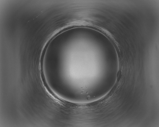 X0000054441335200507291308