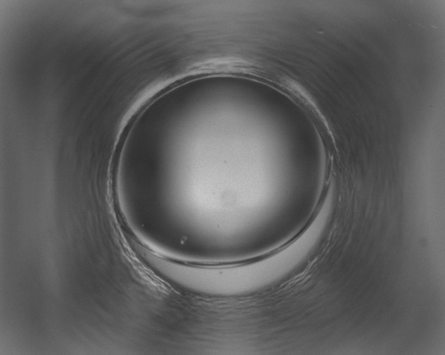 X0000054441336200507291308