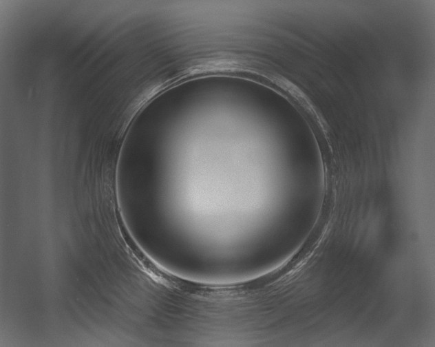 X0000054441337200507291308