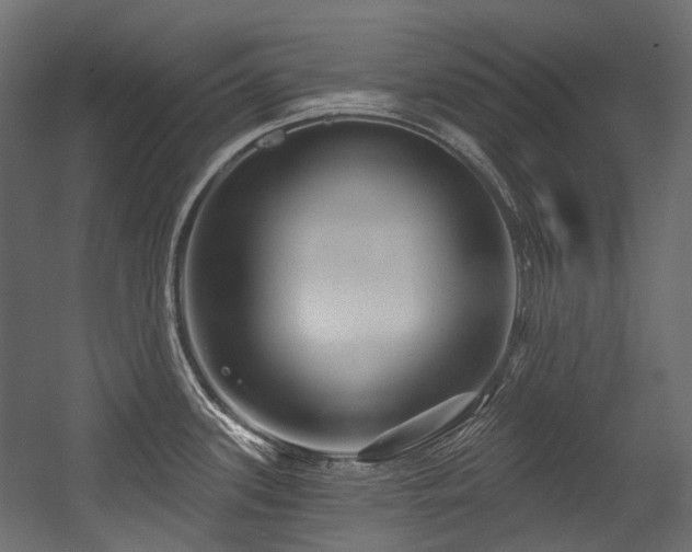 X0000054441339200507291308