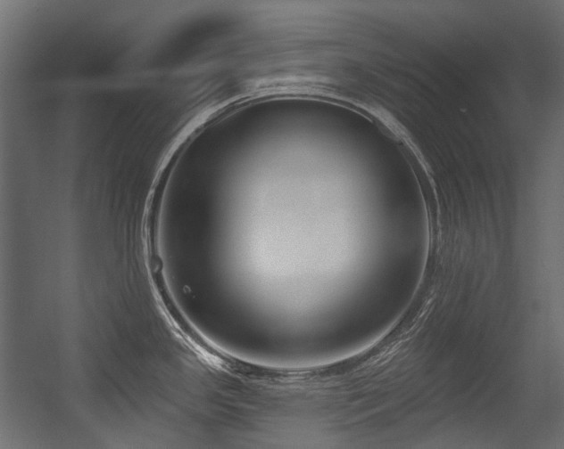 X0000054441341200507291308