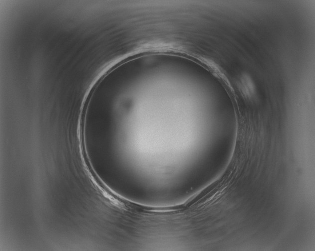 X0000054441343200507291308