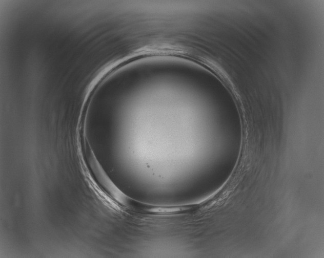 X0000054441344200507291308