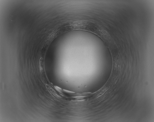X0000054441346200507291307