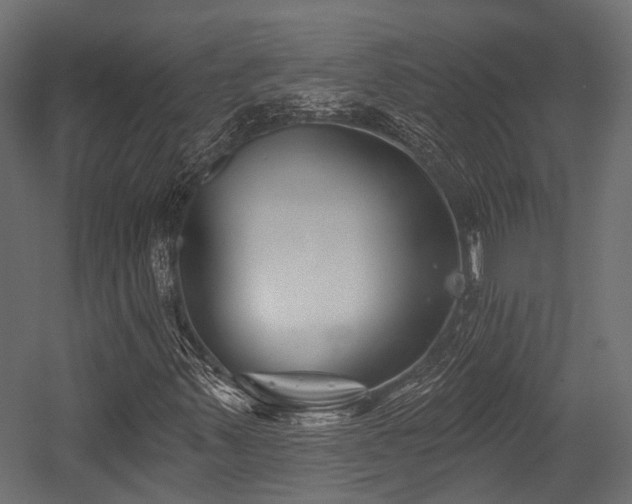 X0000054441347200507291307