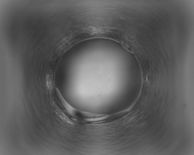 X0000054441348200507291307