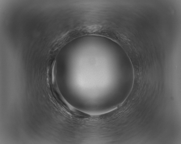 X0000054441349200507291307