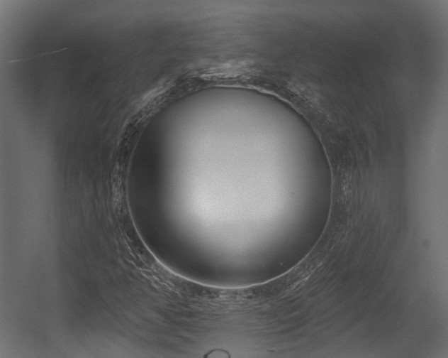 X0000054441350200507291307
