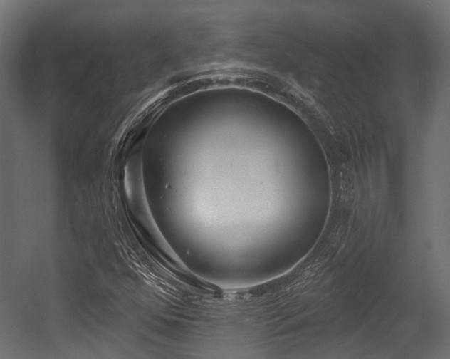 X0000054441352200507291307