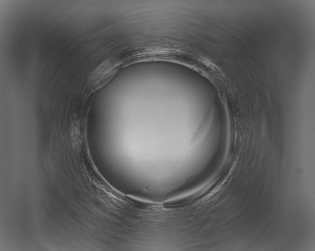 X0000054441353200507291307