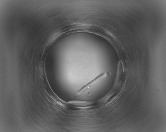 X0000054441354200507291307
