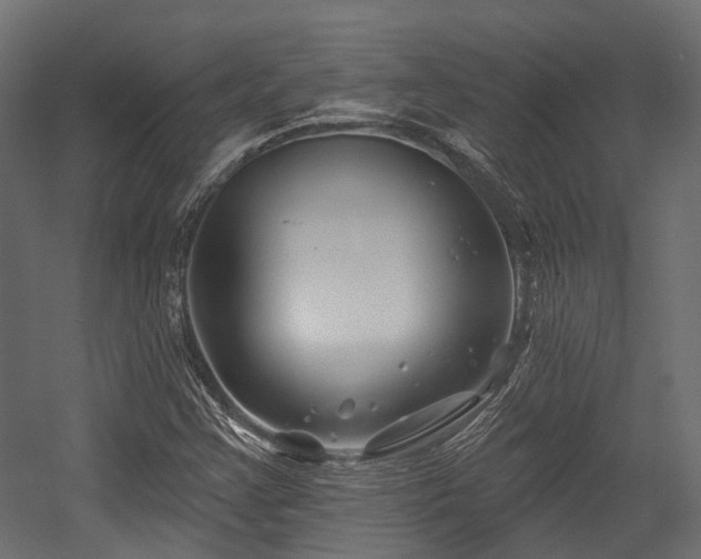 X0000054441355200507291307