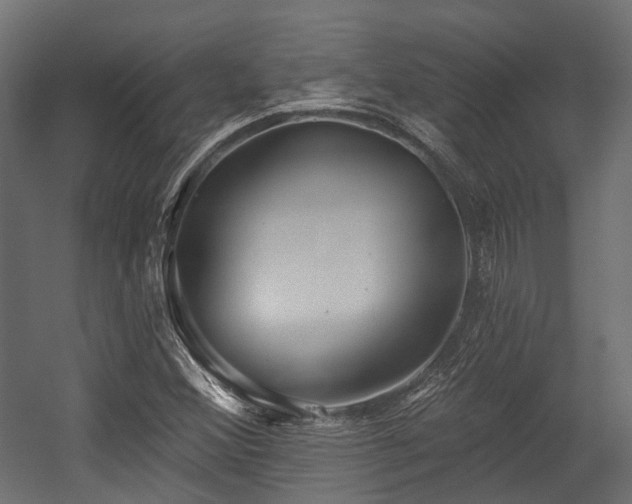 X0000054441356200507291307