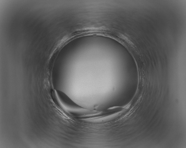 X0000054441357200507291307