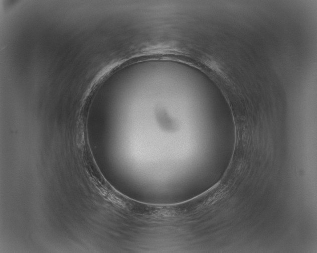X0000054441358200507291307