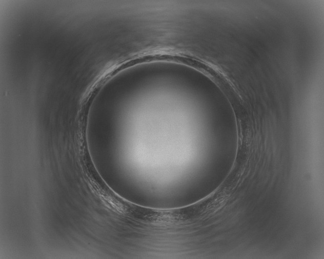 X0000054441359200507291307