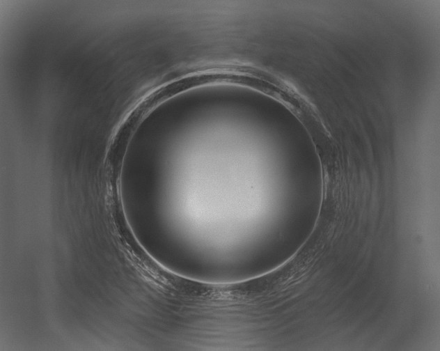 X0000054441360200507291307