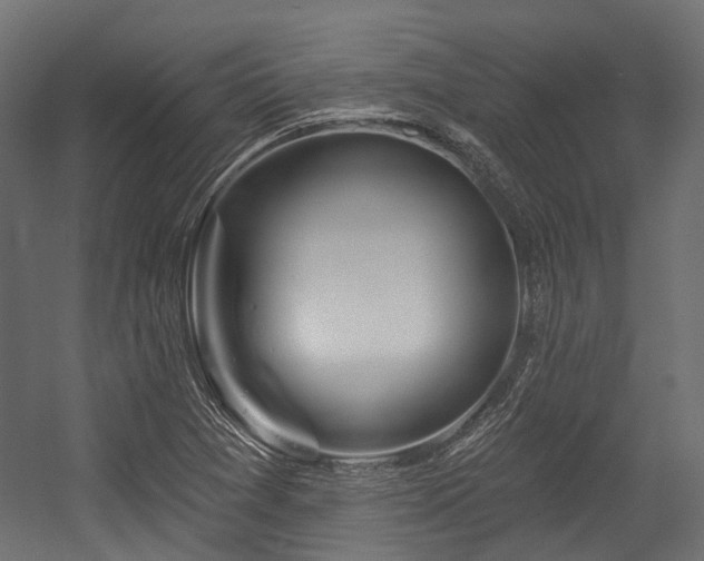 X0000054441361200507291307