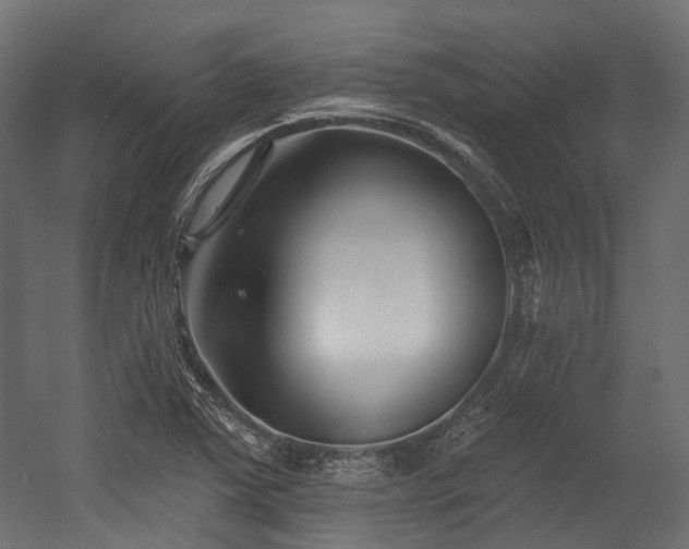X0000054441363200507291307