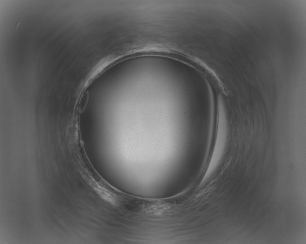 X0000054441367200507291307