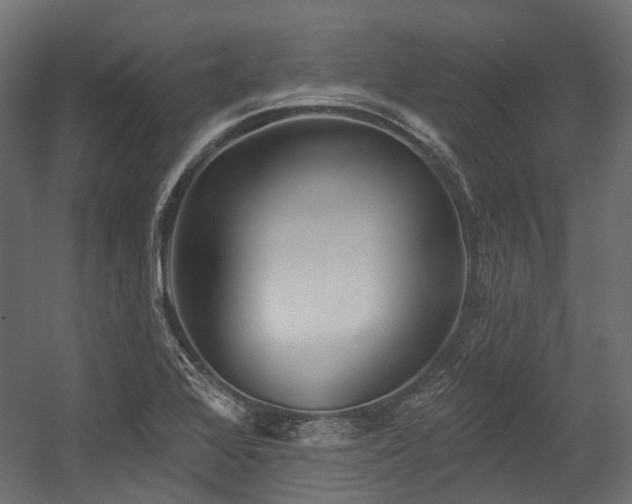 X0000054441368200507291306