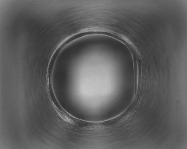 X0000054441372200507291306