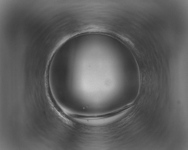 X0000054441375200507291306