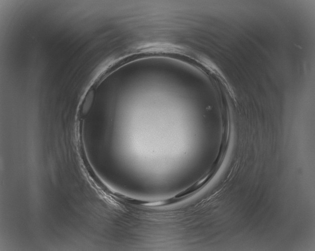 X0000054441376200507291306
