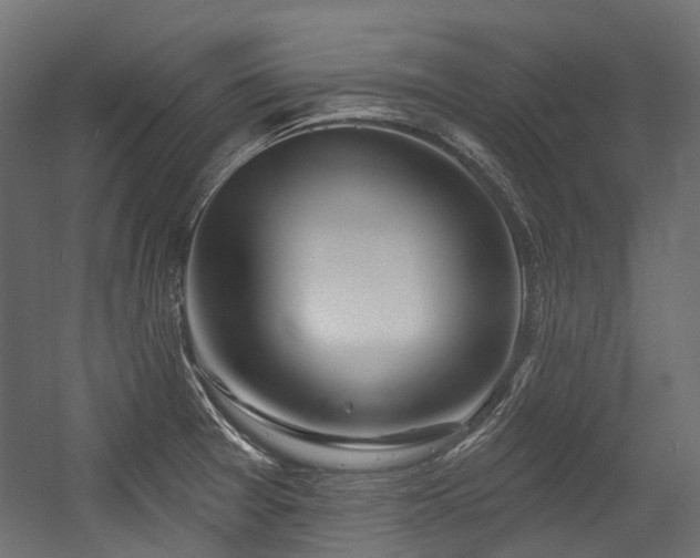X0000054441377200507291306
