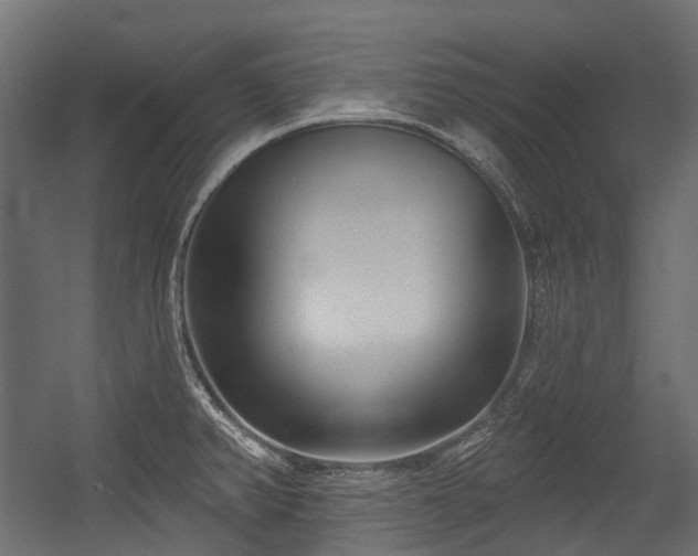 X0000054441382200507291306