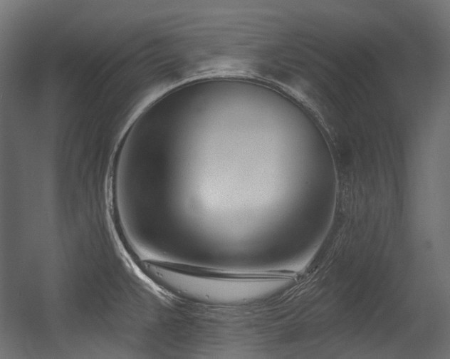 X0000054441383200507291306