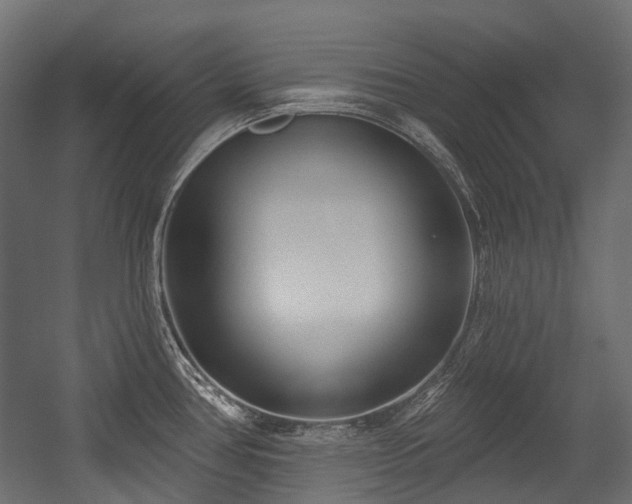 X0000054441386200507291306