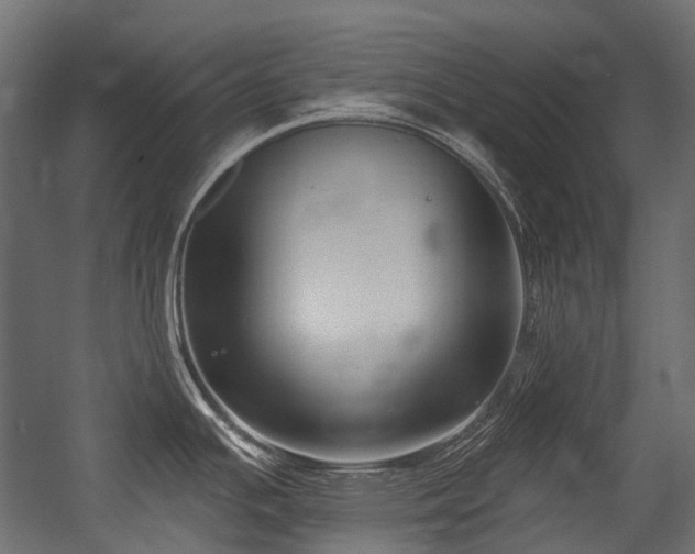 X0000054441391200507291306