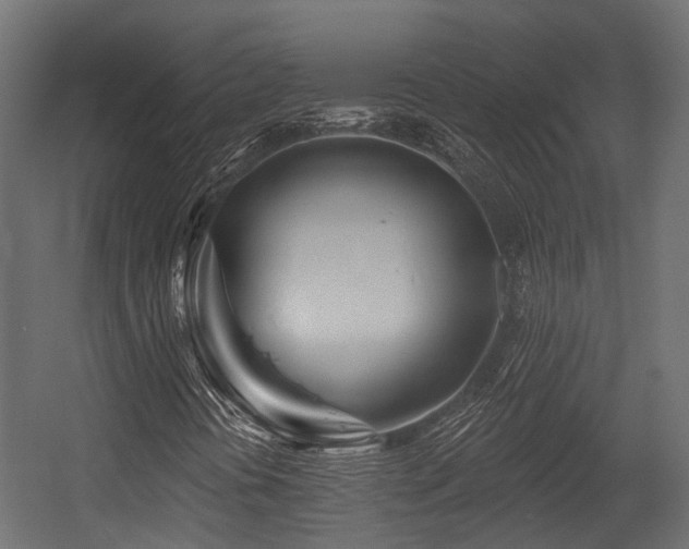 X0000054441394200507291305