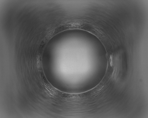 X0000054441395200507291305