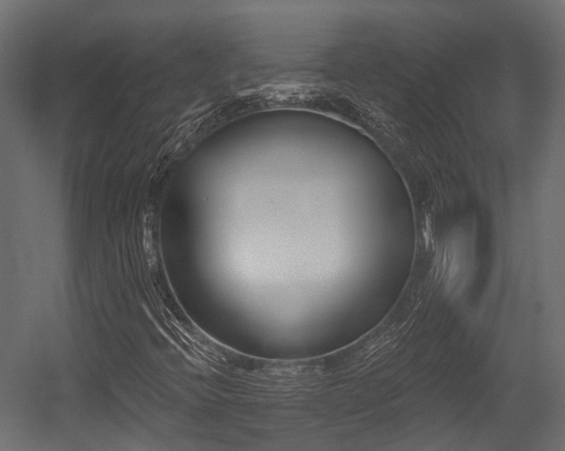 X0000054441396200507291305